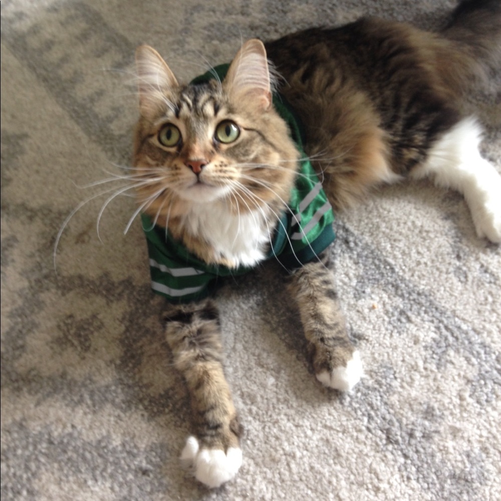 Meet your Posher, Andrea